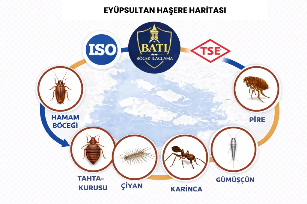 Eyüp böcek ilaçlama firması
