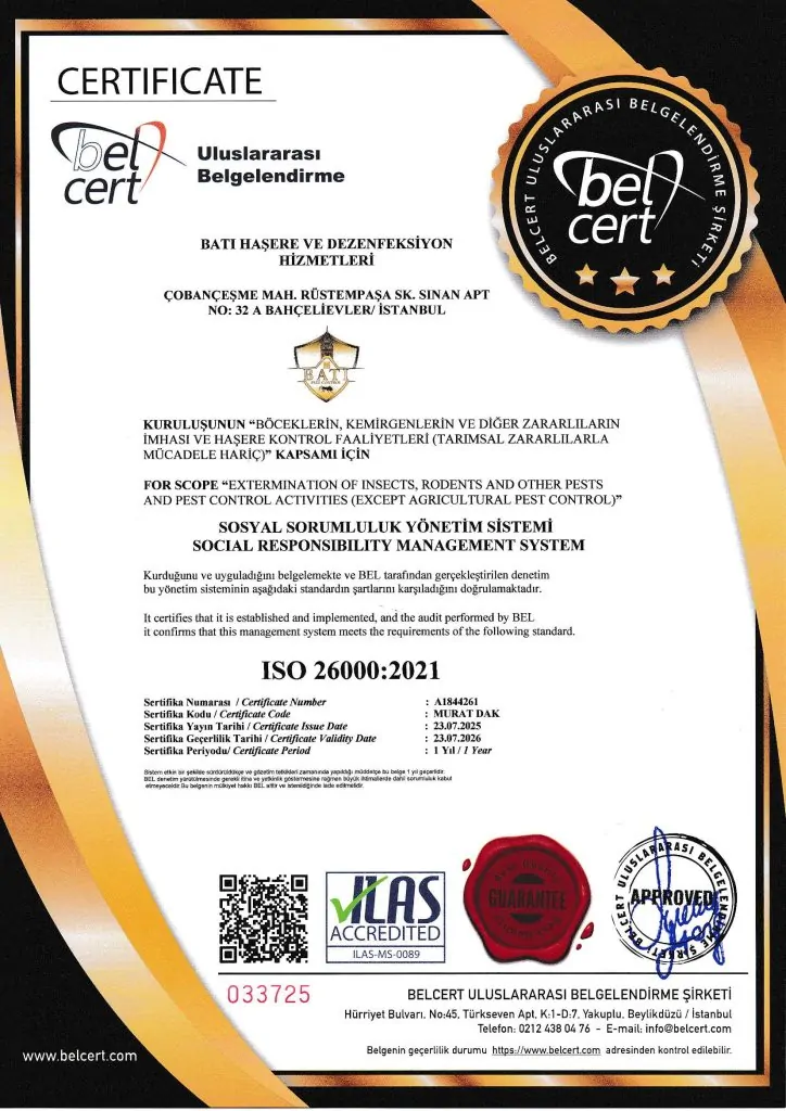 ISO 26000-1