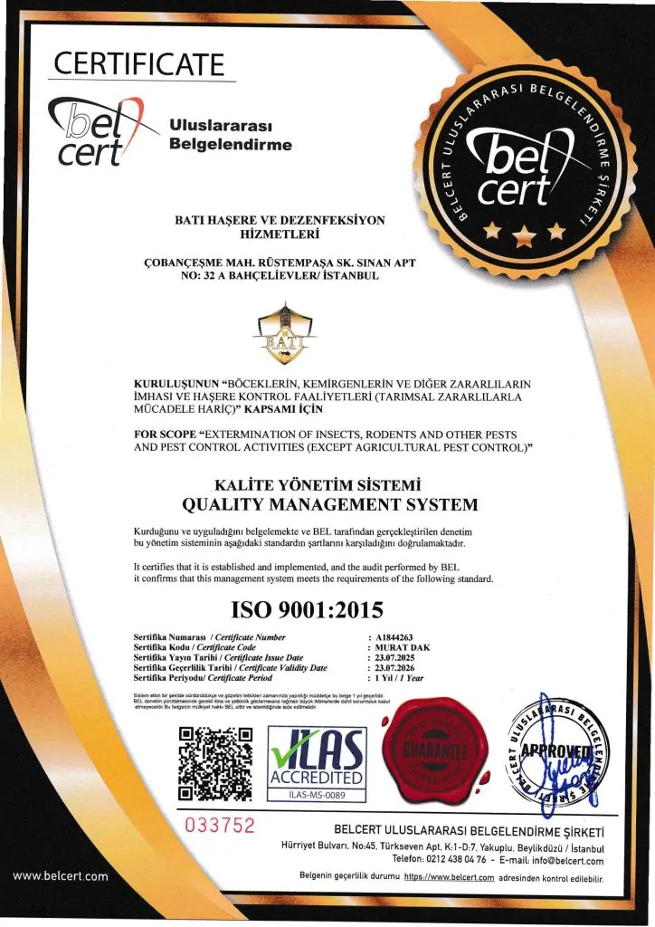 ISO 9001-1