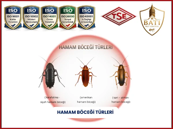 saglik-bakanligi-onayli-profesyonel-hamam-bocegi-ilaclama-hizmeti