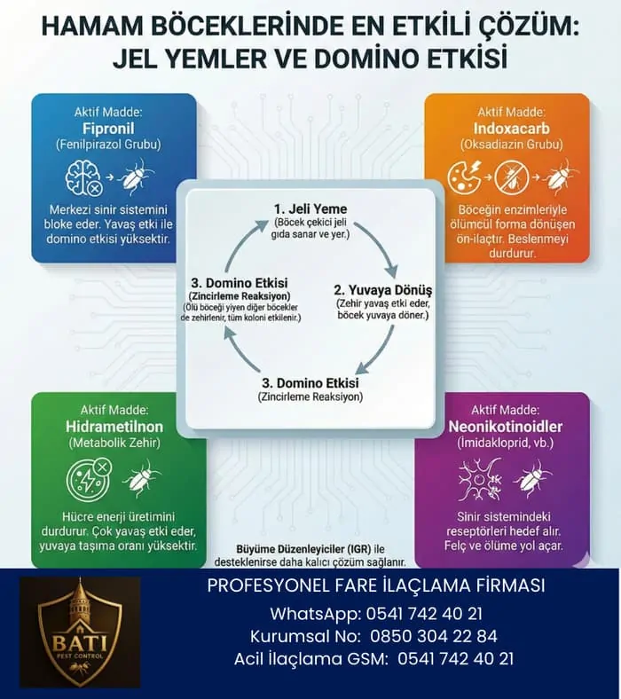 Hamam Böceği İçin En Etkili İlaçlama Yöntemleri Nelerdir